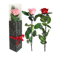 Rosa Preservada, Regalo de San Valentín, Rosa Eterna, Floristería Online, Rosas Naturales, Floristerías en  A Coruña, Floristería Daphne