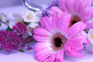 Ramo Flores Viena, Floristerías en A Coruña, Ramo Blanco para Regalar, Flores en A Coruña, Arreglos Florales, Comprar Flores Online