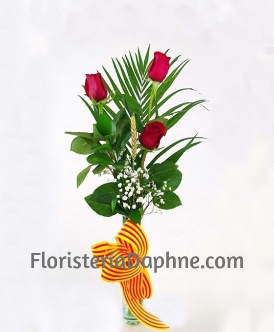 Rosas para Regalar en Sant Jordi